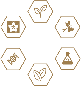 首页-AG视讯厅真人官方网站