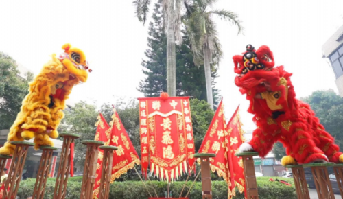 龙腾狮跃，共铸鲜丽将来！
